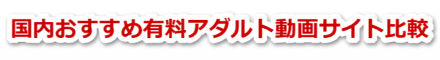 国内おすすめ有料アダルト動画サイト比較